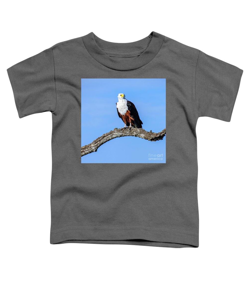 Bird Toddler T-Shirt featuring the photograph African Eagle by Tom Watkins PVminer pixs