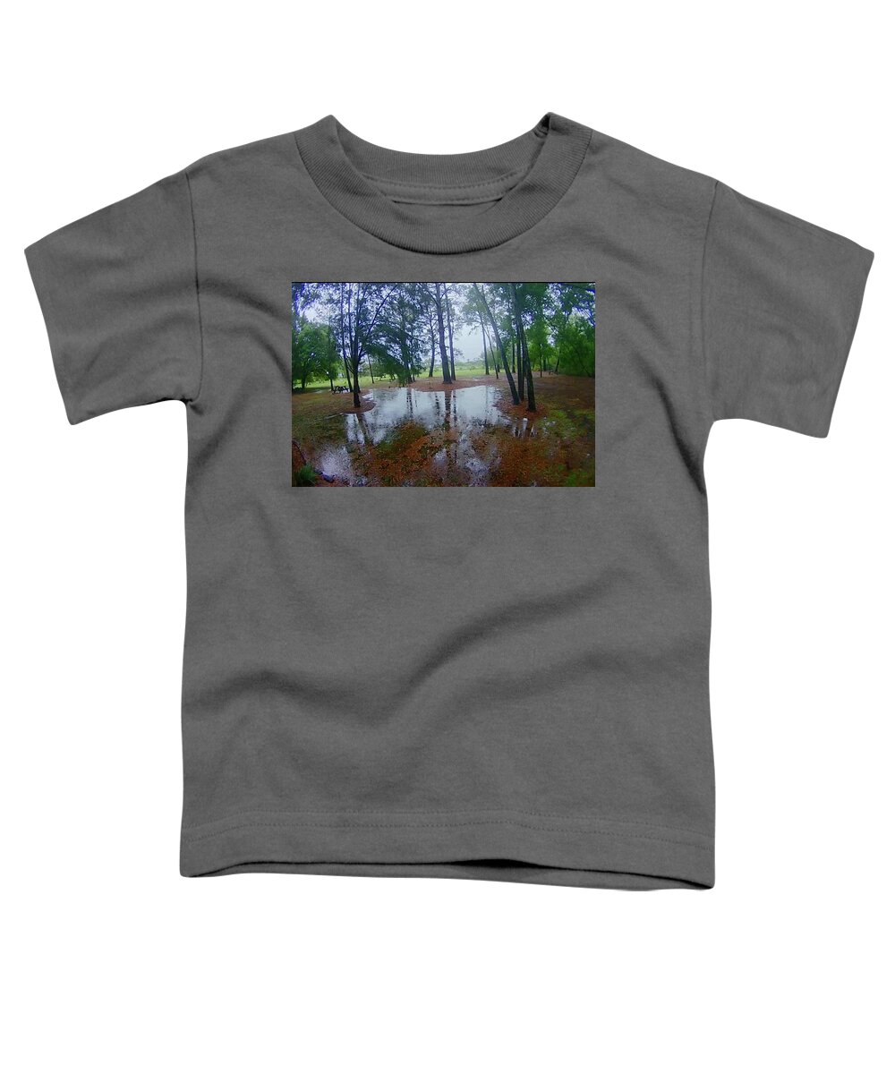 Rain Toddler T-Shirt featuring the photograph After the Rain by Catherine Wilson