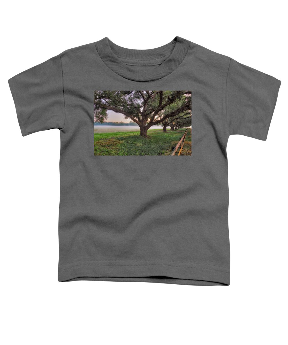 Charming Street Toddler T-Shirt featuring the photograph Aiken South Carolina - Mead Street 4 by Steve Rich