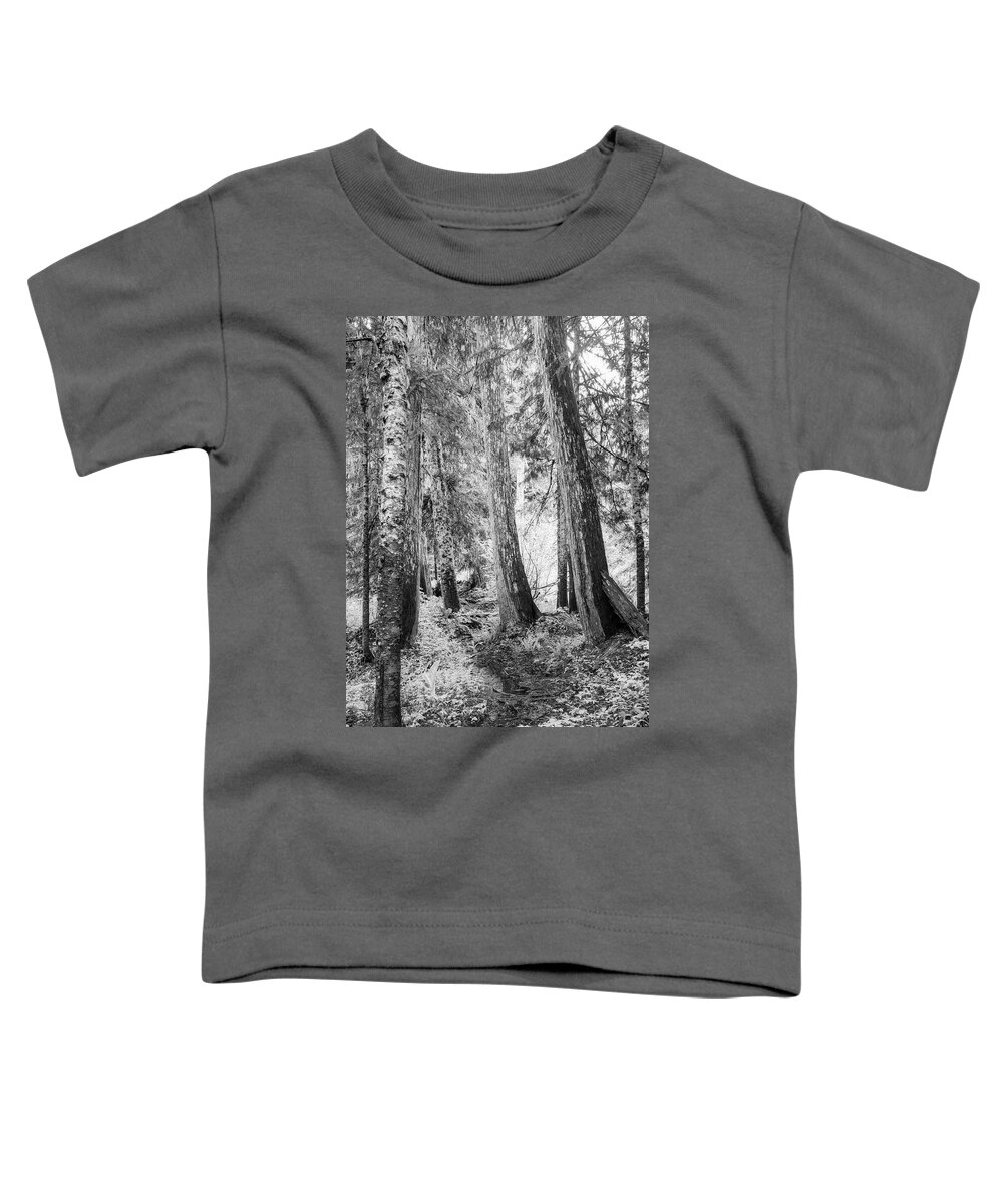 Alaskan Toddler T-Shirt featuring the photograph Alaskan Cedars at Echo Basin by Catherine Avilez