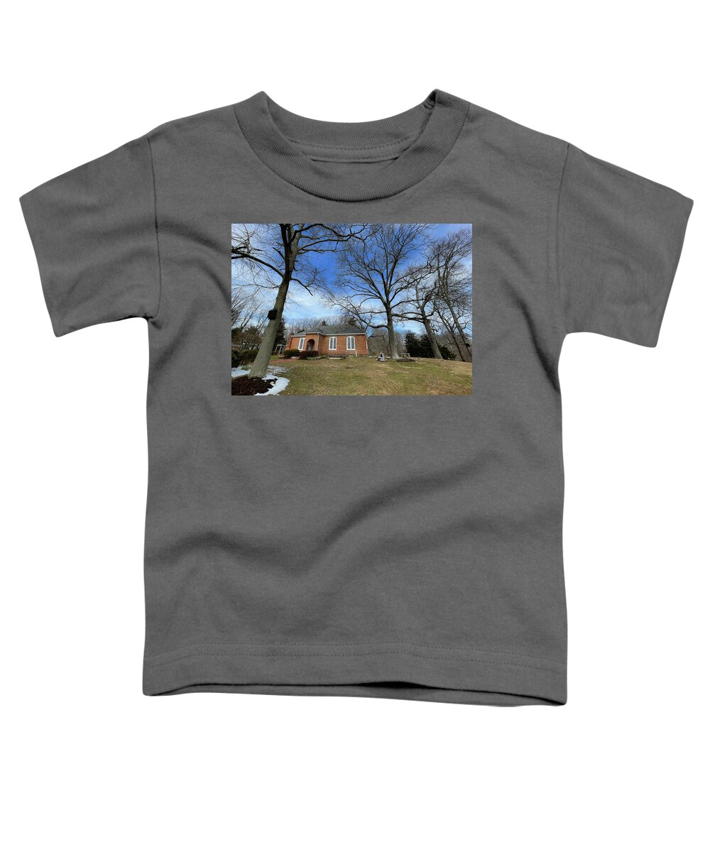 All Hallows' Church Cemetery Toddler T-Shirt featuring the photograph All Hallows' Church and Cemetery by Lora J Wilson