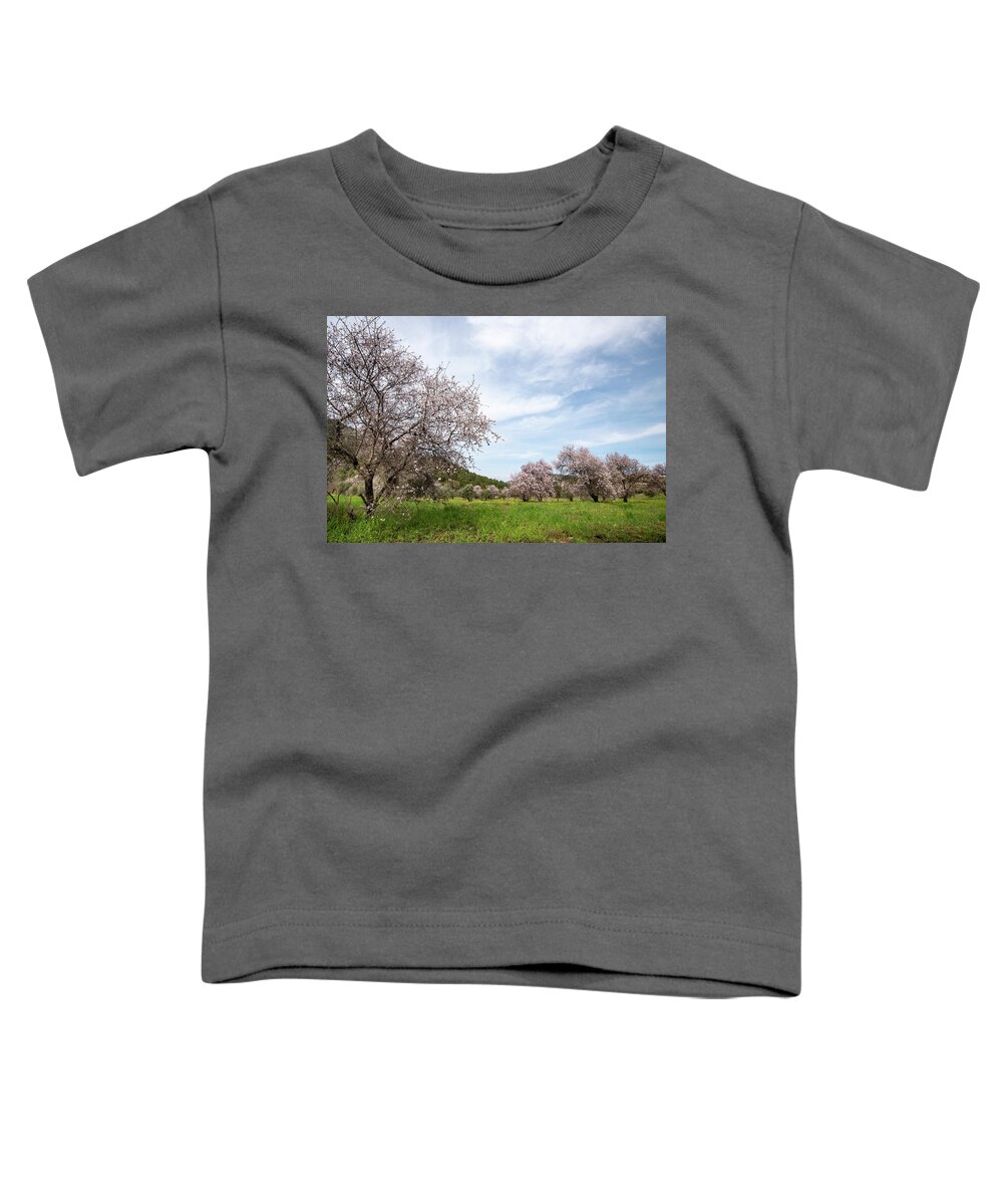 Spring Toddler T-Shirt featuring the photograph Almond trees bloom in spring against blue sky. by Michalakis Ppalis
