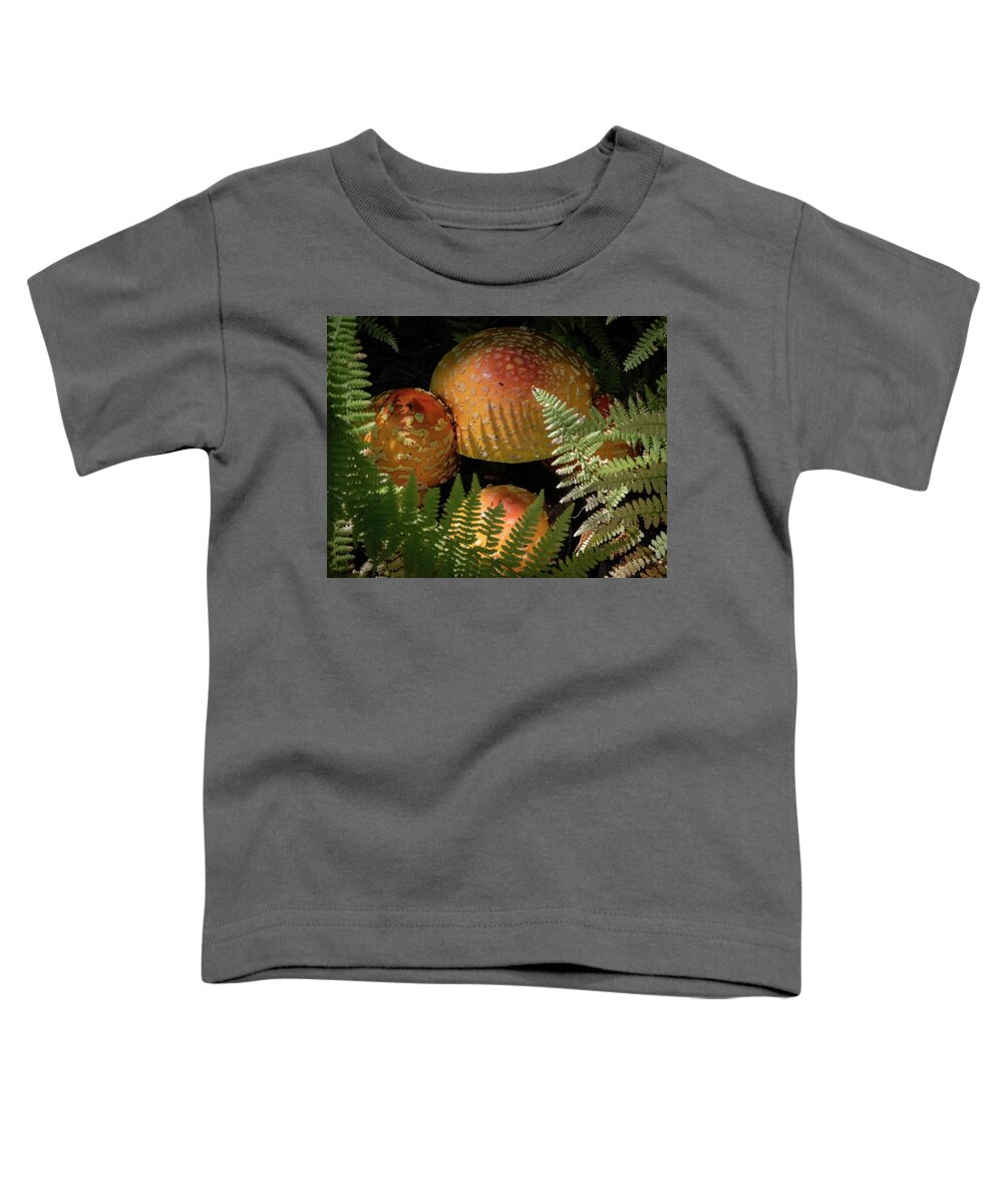 Maine Toddler T-Shirt featuring the photograph Amanita Fungi by Norman Reid
