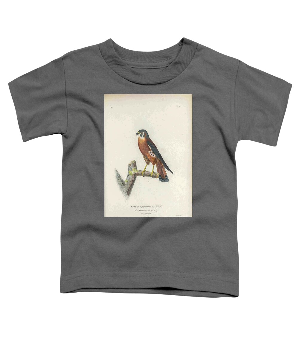 American Toddler T-Shirt featuring the photograph American kestrel Falco sparverius t1 by Historic illustrations