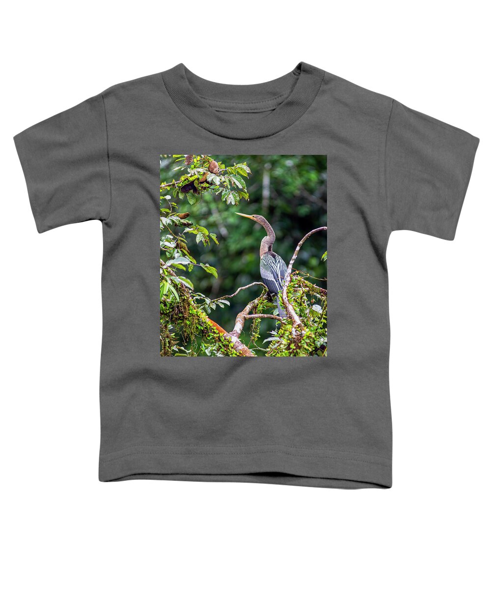 Amazon Toddler T-Shirt featuring the photograph Anhinga - American darter - snake bird by Henri Leduc