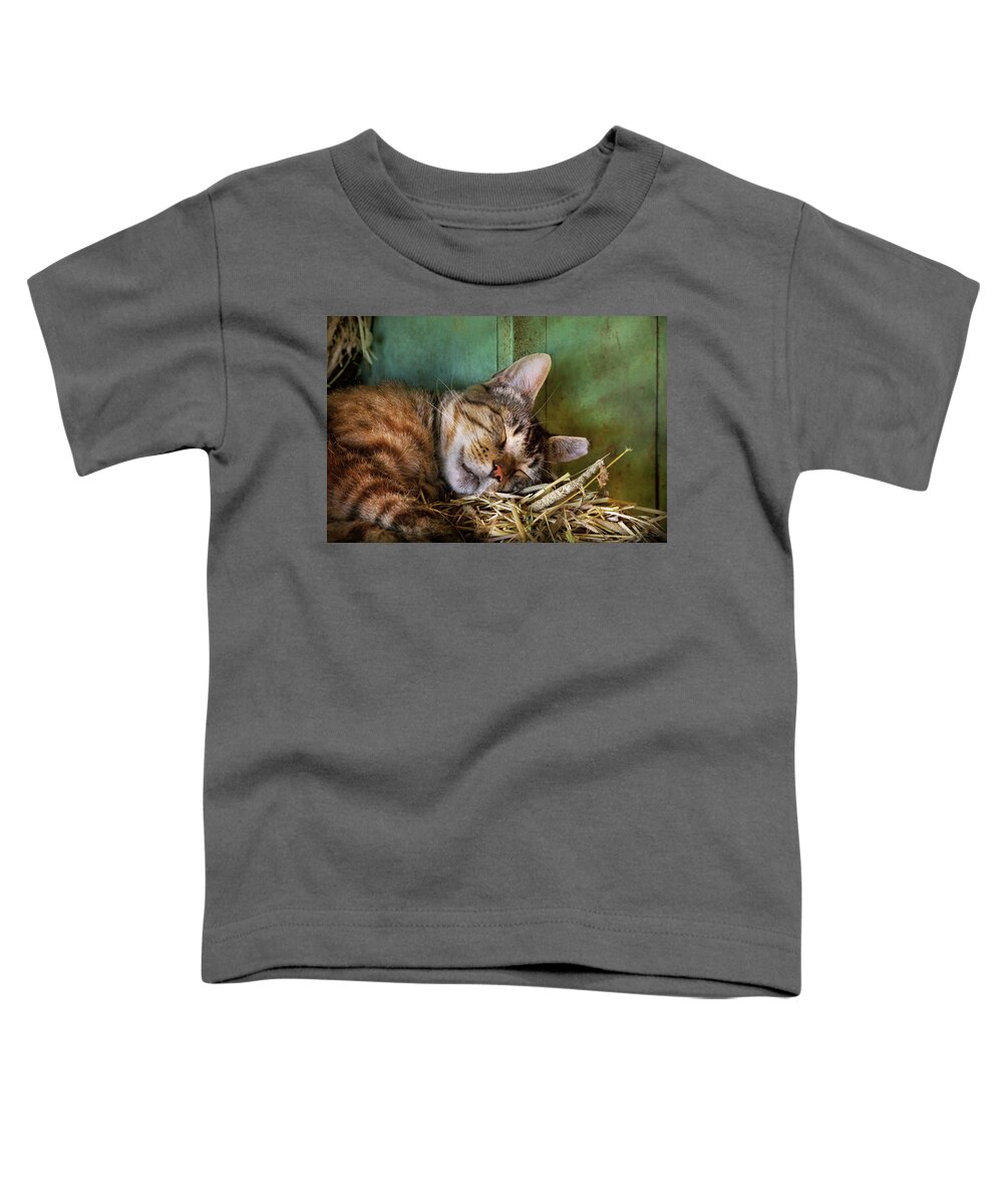 Cat Toddler T-Shirt featuring the photograph Animal - Cat - Cat nap by Mike Savad