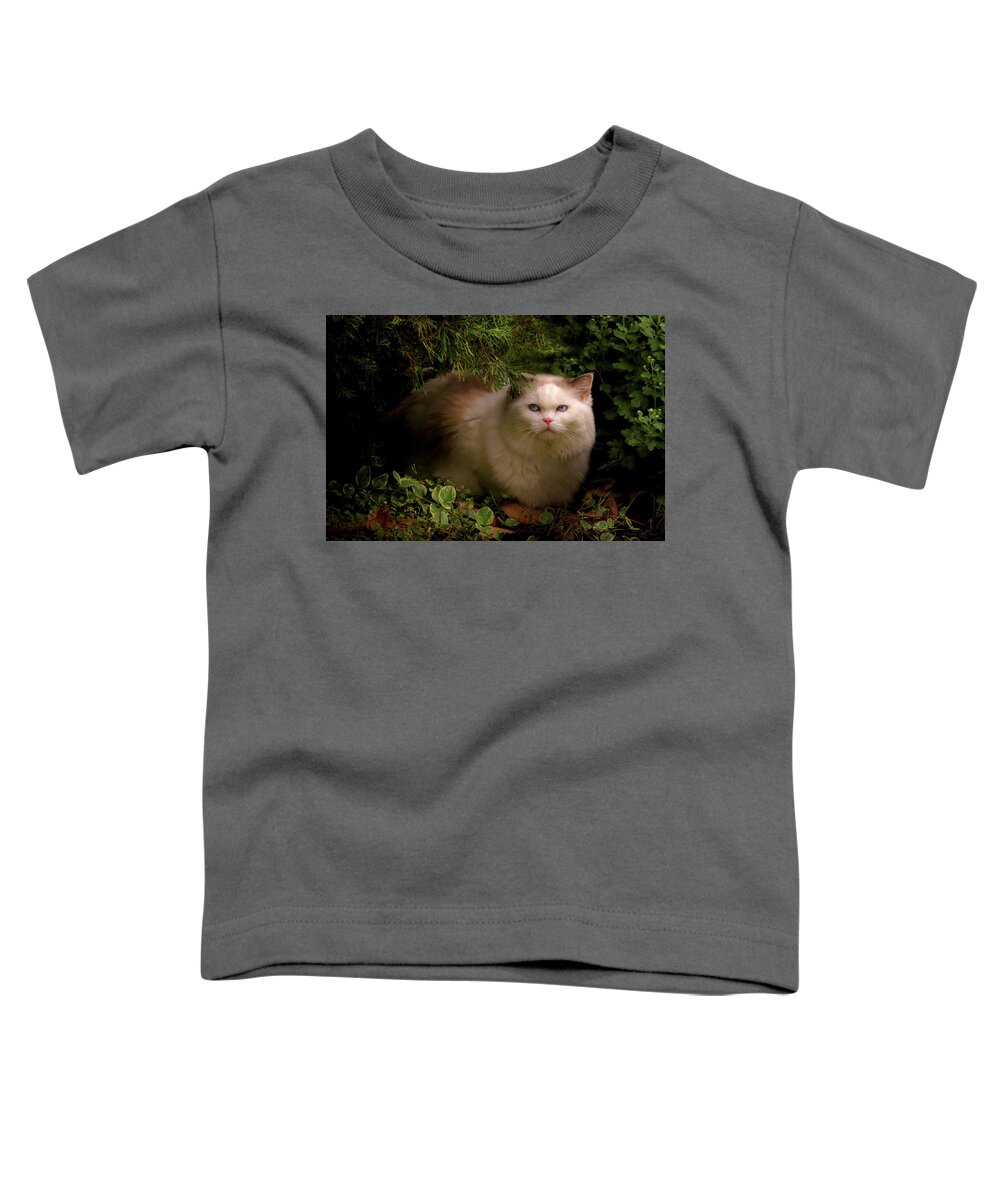 Cat Toddler T-Shirt featuring the photograph Animal - Cat - Hidden comfort by Mike Savad
