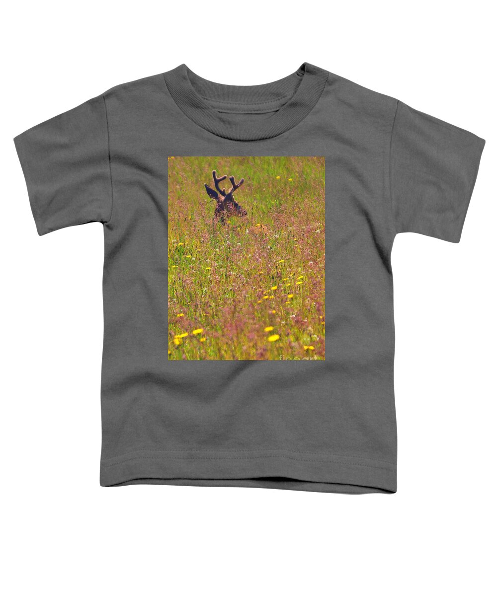 Deer Toddler T-Shirt featuring the photograph Antlers by Kimberly Furey