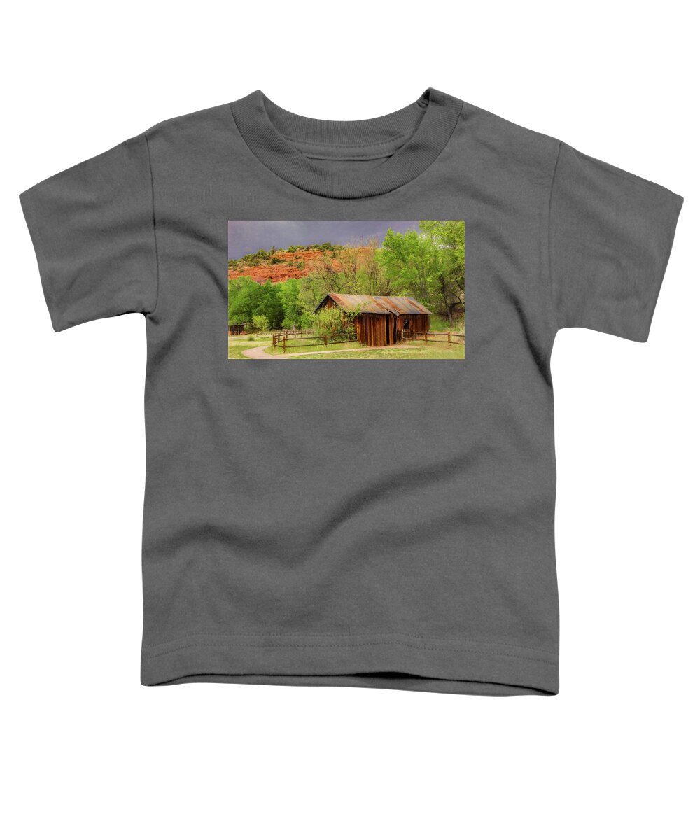  Toddler T-Shirt featuring the photograph Arizona Rustic by Marcy Wielfaert