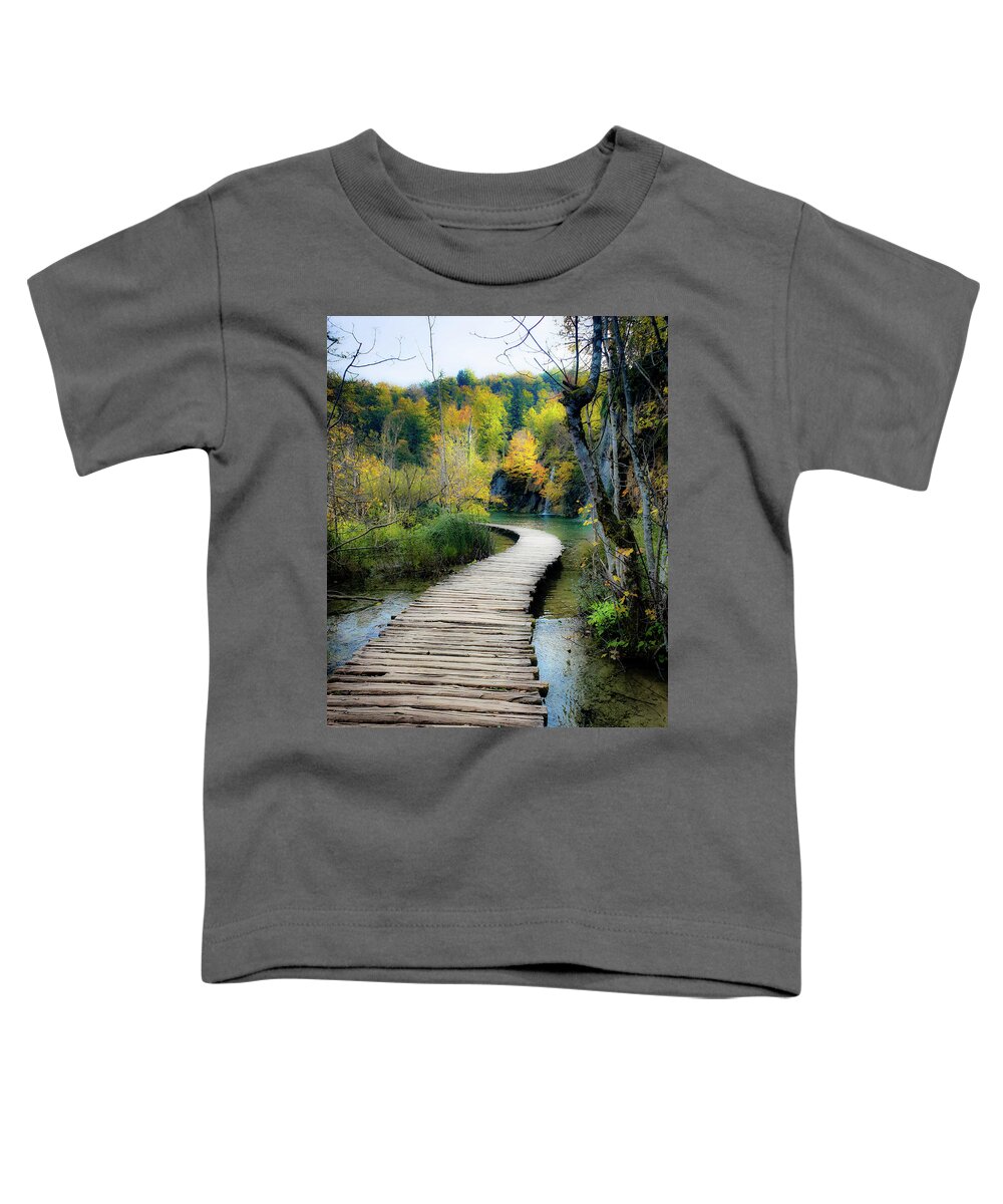 Trail Toddler T-Shirt featuring the photograph Around the Bend by Andrea Whitaker