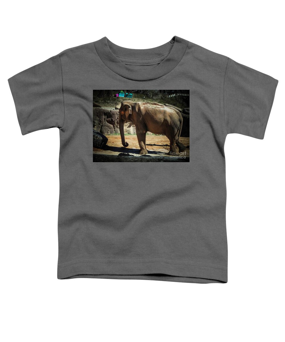 Elephant Toddler T-Shirt featuring the photograph Asian Elephant by Judy Hall-Folde