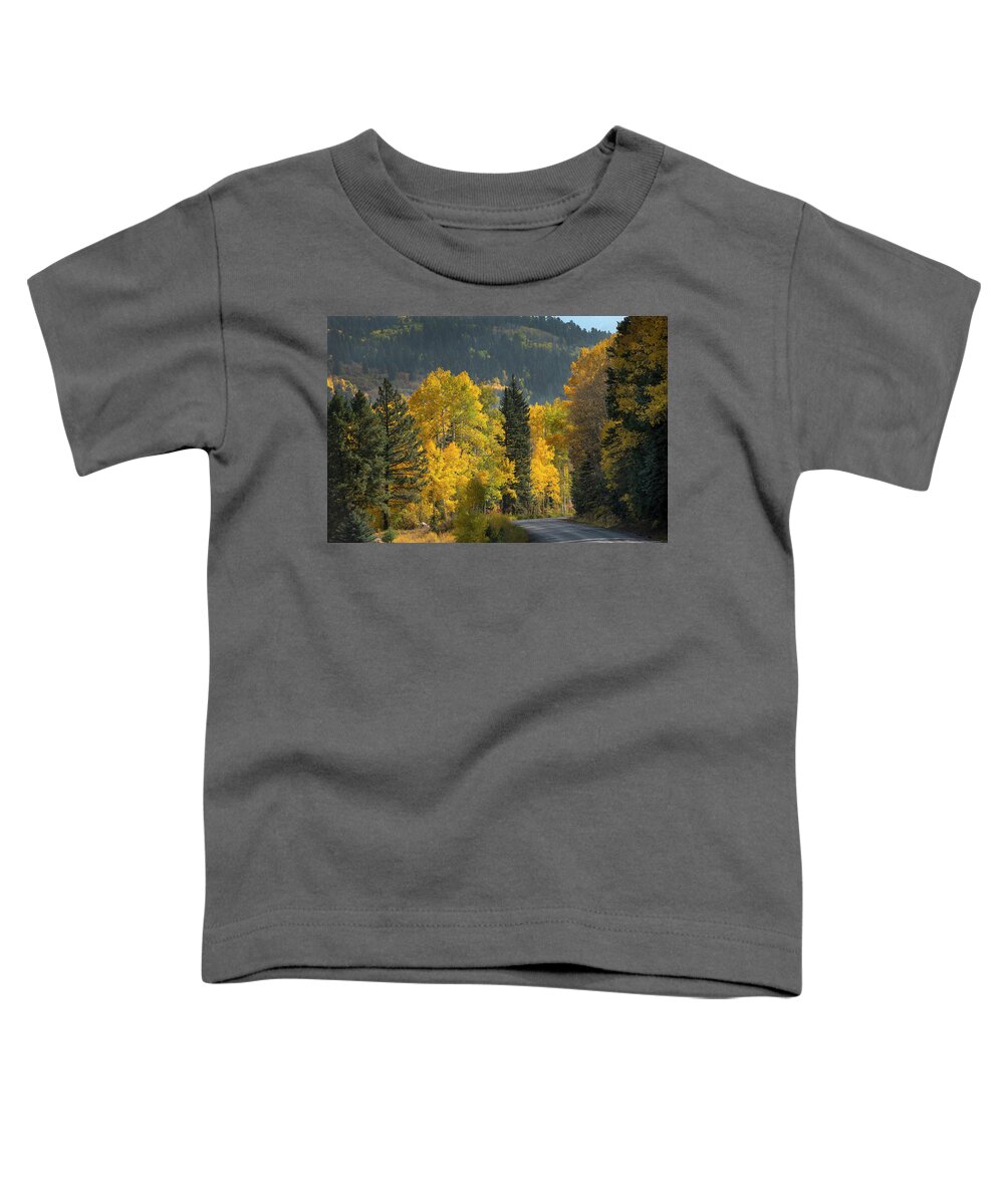 Aspen Toddler T-Shirt featuring the photograph Aspen near Pagosa Springs-2 by Mark Langford