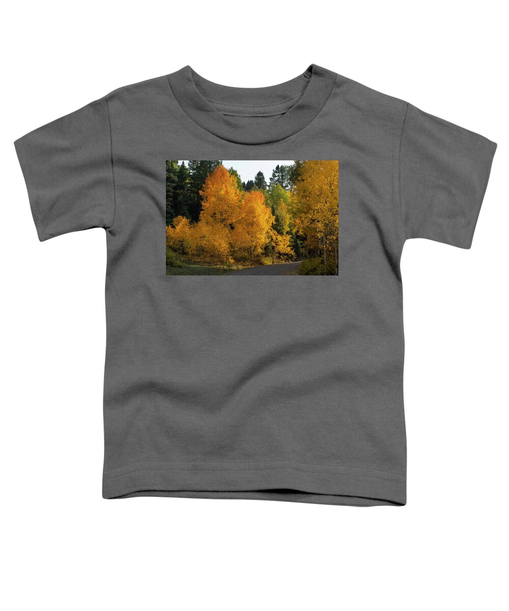 Aspen Toddler T-Shirt featuring the photograph Aspen near Pagosa Springs-5 by Mark Langford
