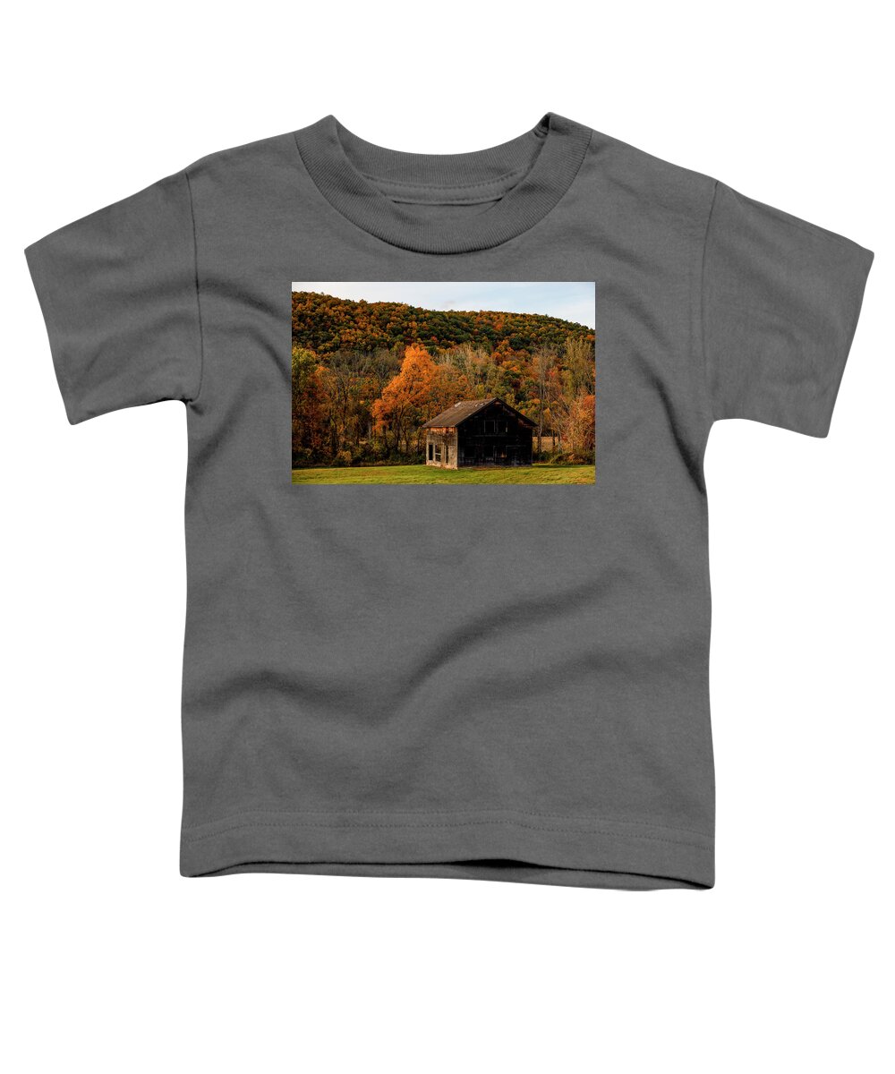 Abandoned Toddler T-Shirt featuring the photograph Autumn barn by Alexander Farnsworth