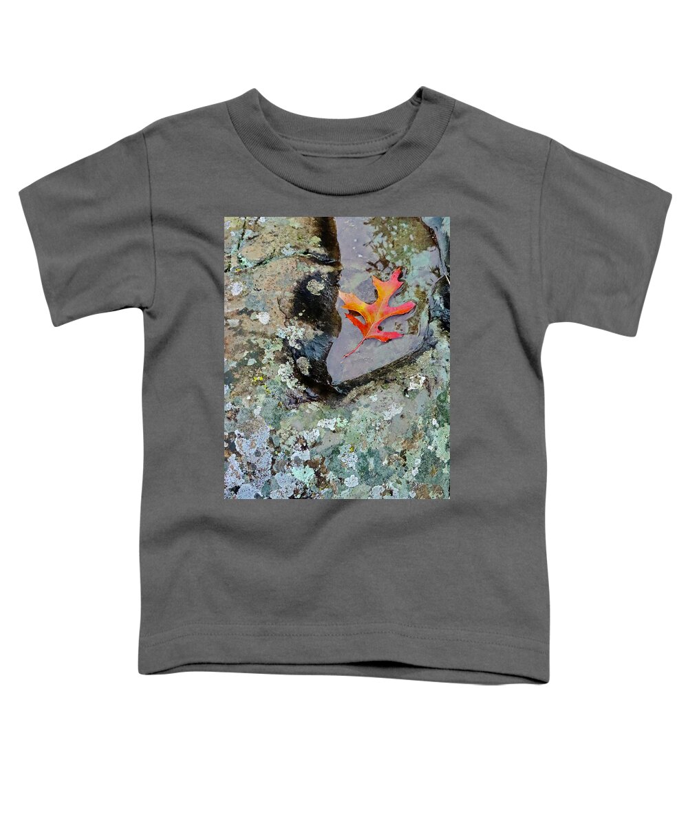 Autumn Toddler T-Shirt featuring the photograph Autumn Colors by Sarah Lilja