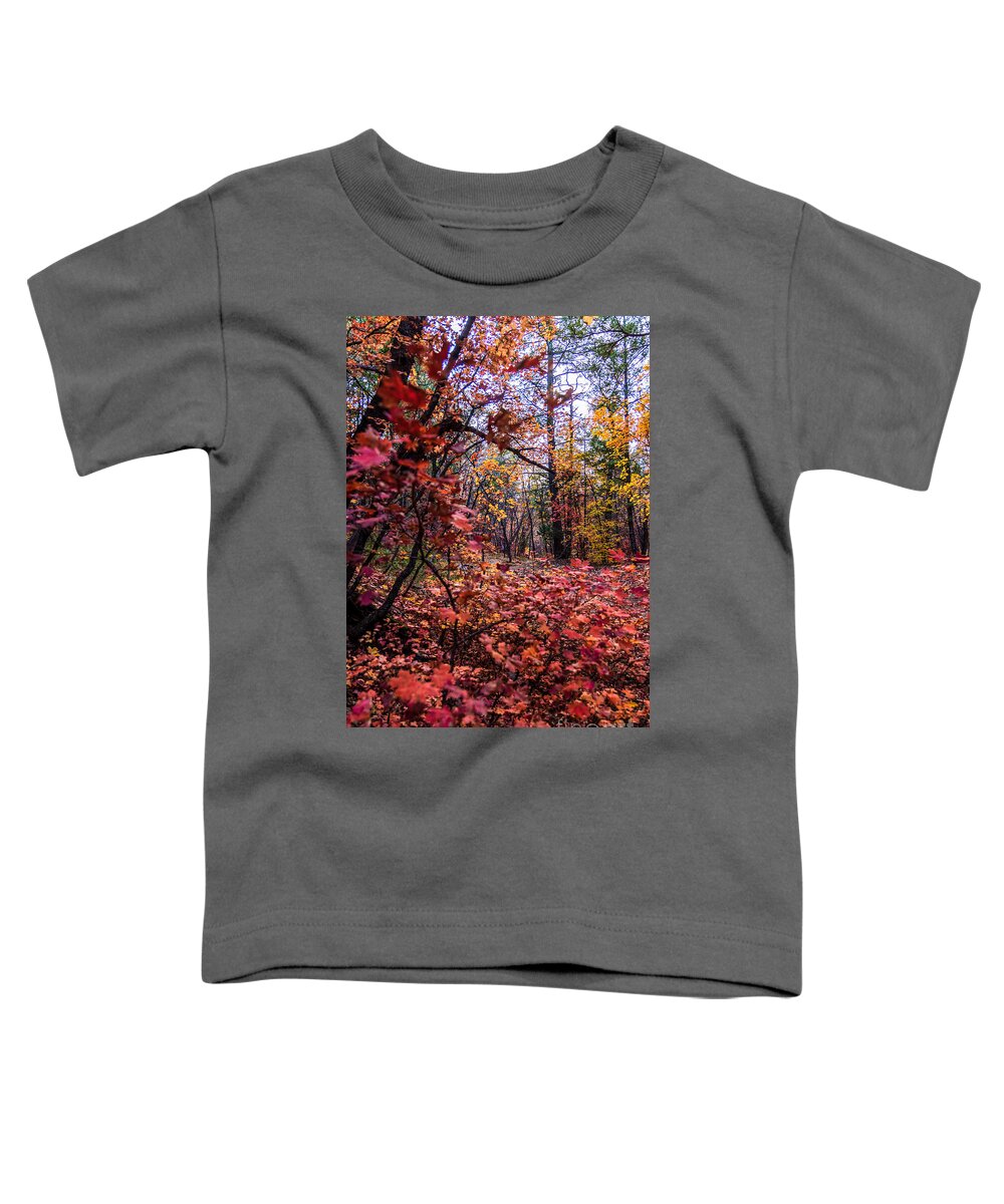 Taos Toddler T-Shirt featuring the photograph Autumn Explosion 4 by Elijah Rael