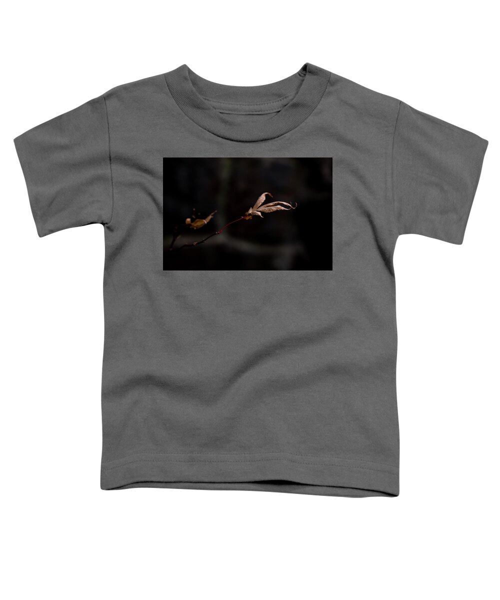 Autumn Toddler T-Shirt featuring the photograph Autumn Fades to Black by Toni Hopper