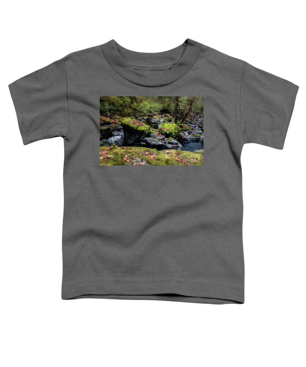 Oregon Waterfalls Toddler T-Shirt featuring the photograph Autumn Fantasy Land 6- Sweet Creek Falls by Janie Johnson