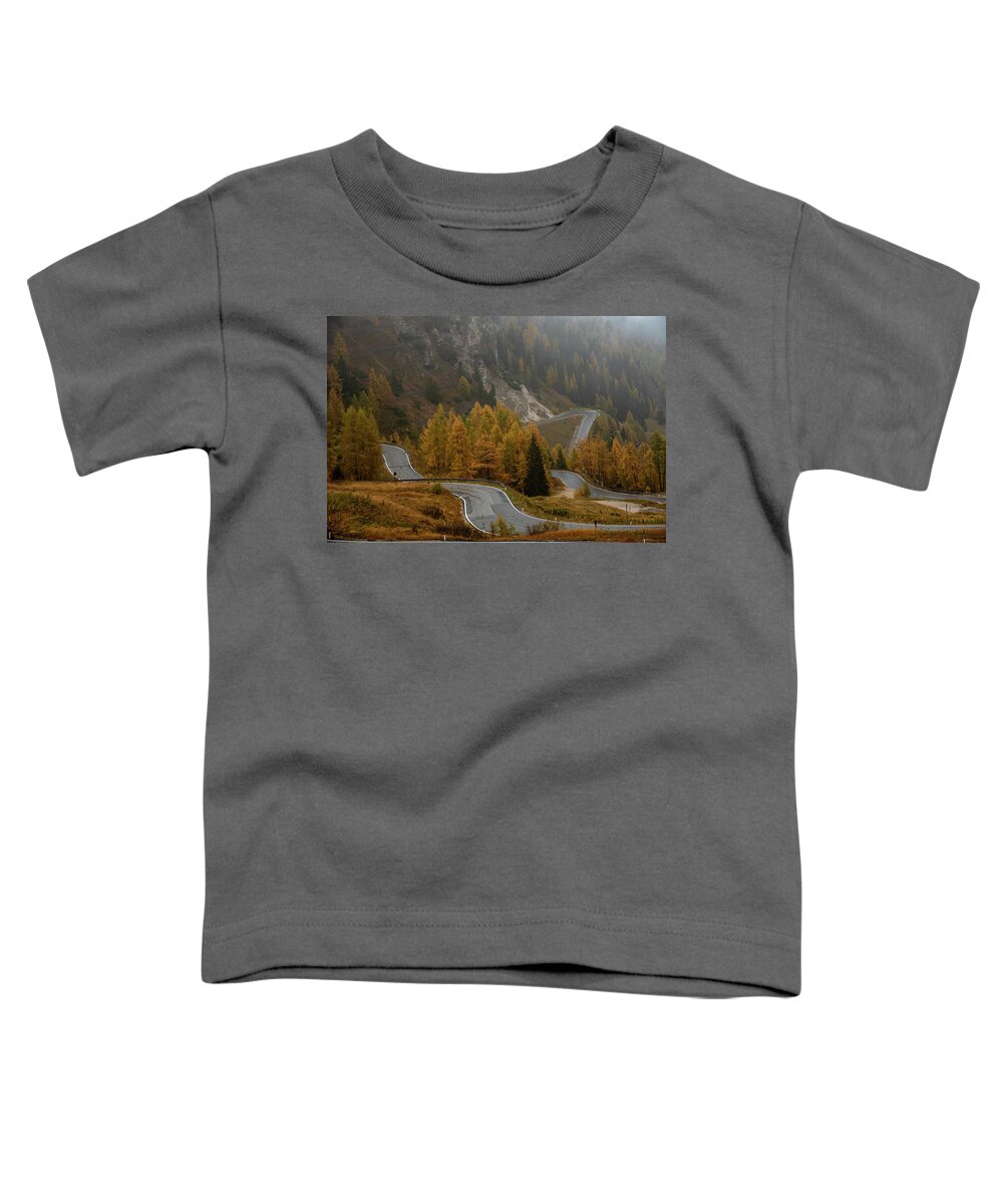 Italian Alps Toddler T-Shirt featuring the photograph Autumn landscape with curved road. Passo di falzarego South Tyrol in Italy by Michalakis Ppalis
