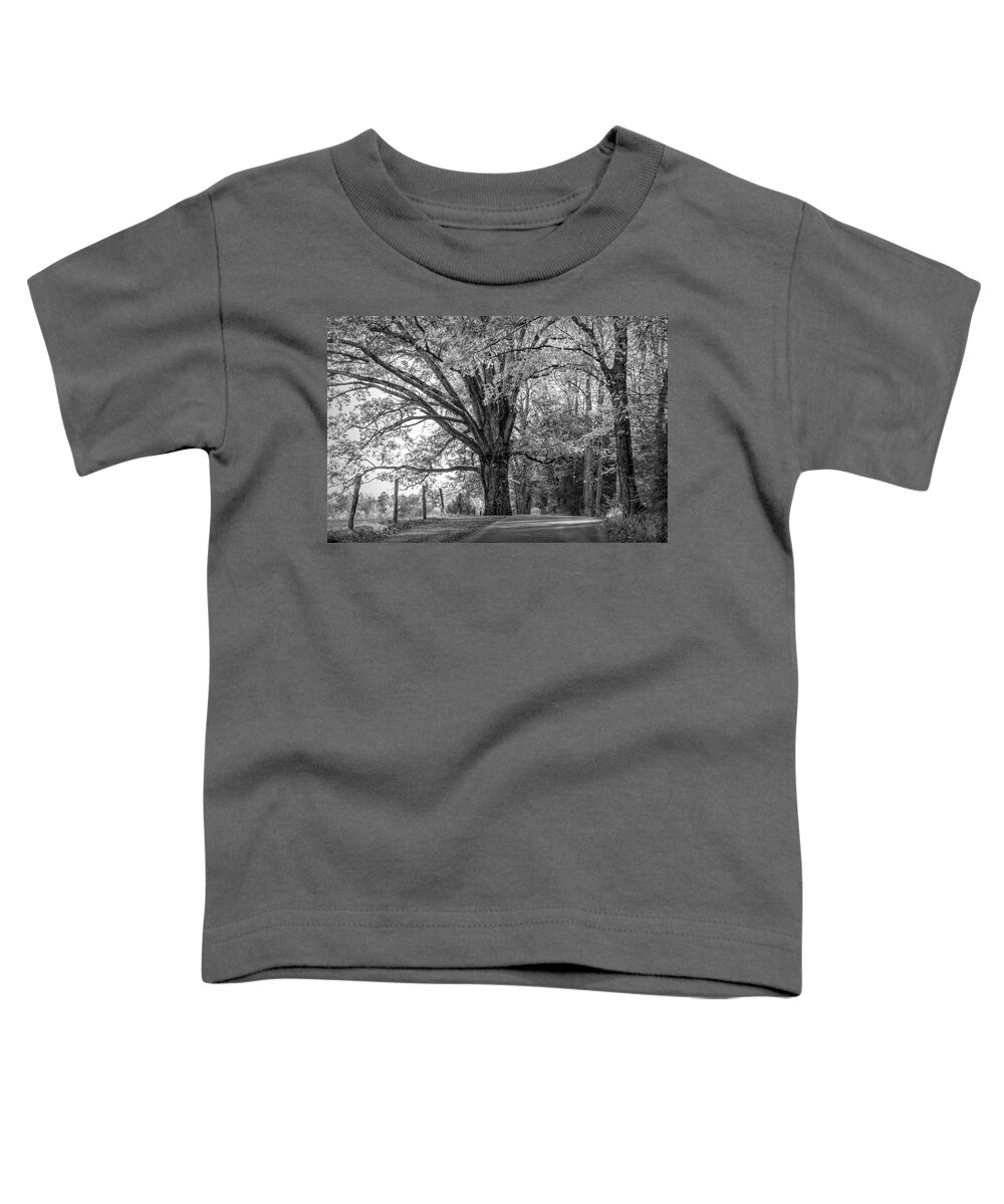 Cades Toddler T-Shirt featuring the photograph Autumn Loop Black and White by Debra and Dave Vanderlaan