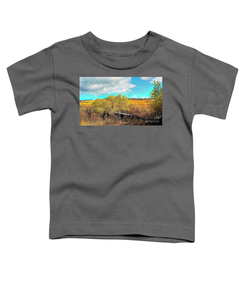 Jon Burch Toddler T-Shirt featuring the photograph Autumn on the Colorado Prairie by Jon Burch Photography