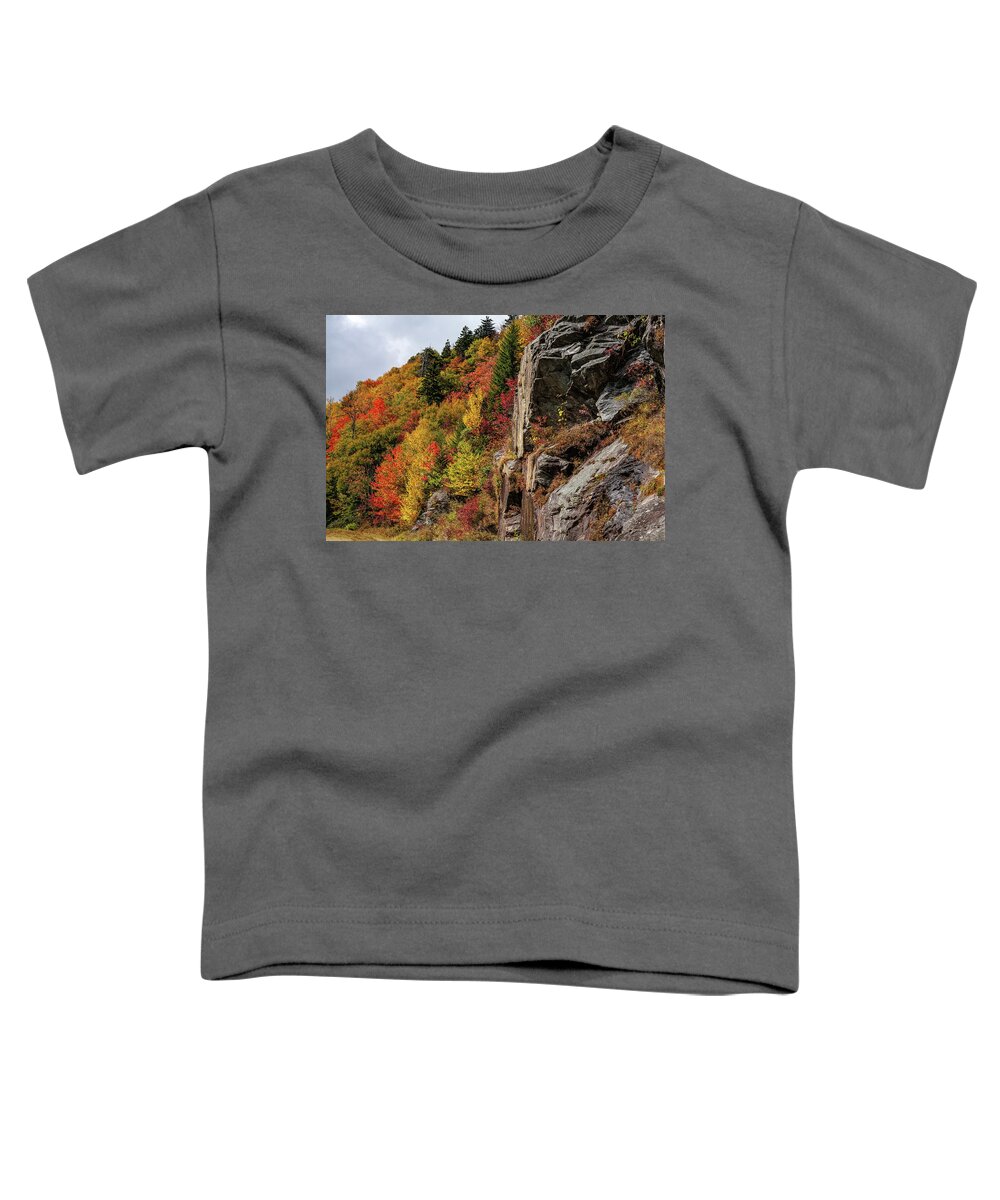 Autumn Toddler T-Shirt featuring the photograph Autumn on the Mountain by Dan Carmichael
