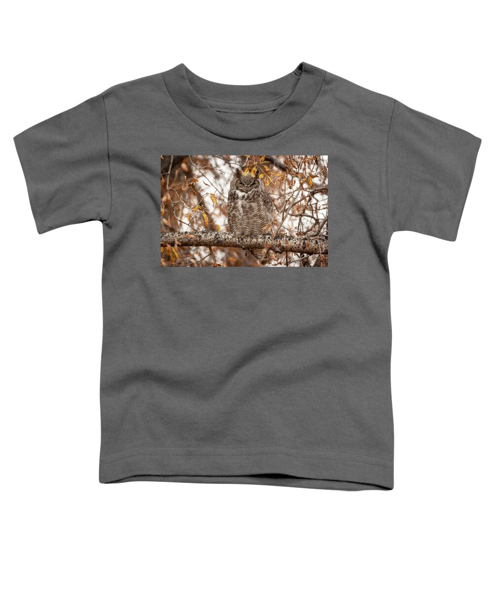 Great-horned Owl Toddler T-Shirt featuring the photograph Autumn owl by D Robert Franz