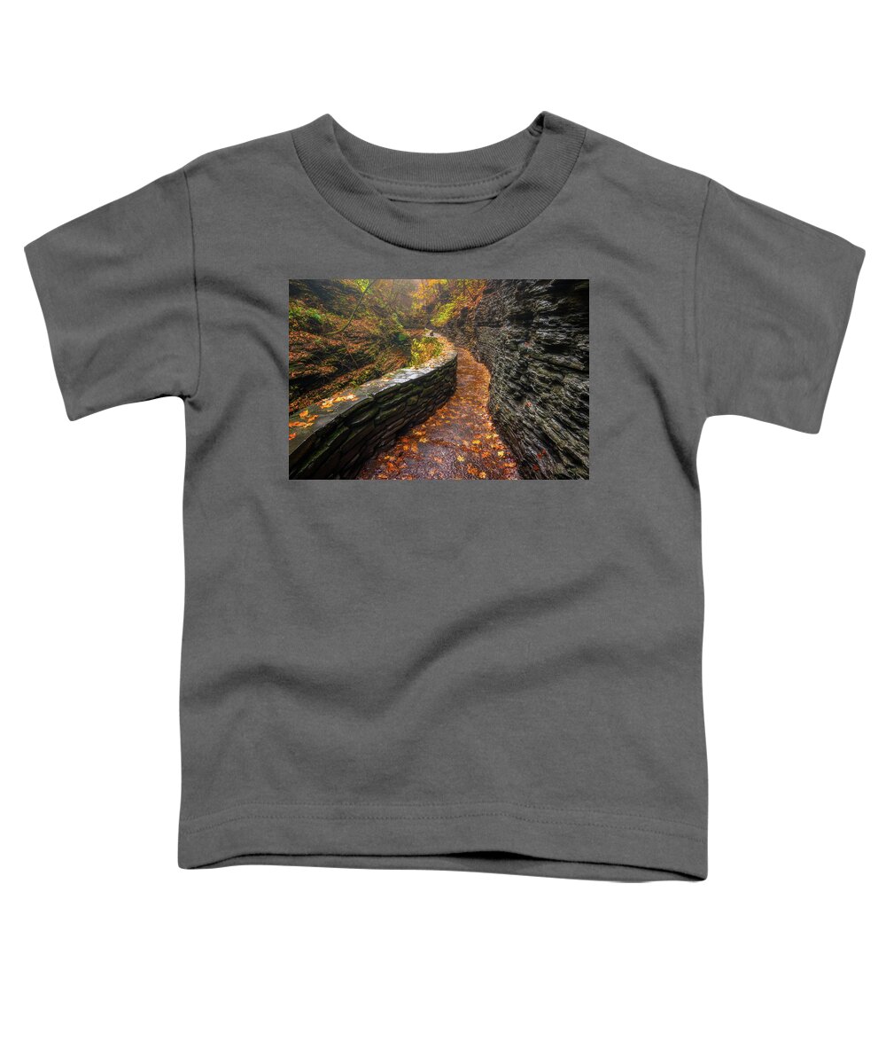 Autumn Colors Toddler T-Shirt featuring the photograph Autumn's Path by Darren White