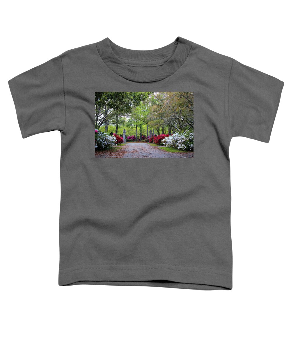 Azalea Toddler T-Shirt featuring the photograph Azalea Cemetery Drive by Cynthia Guinn