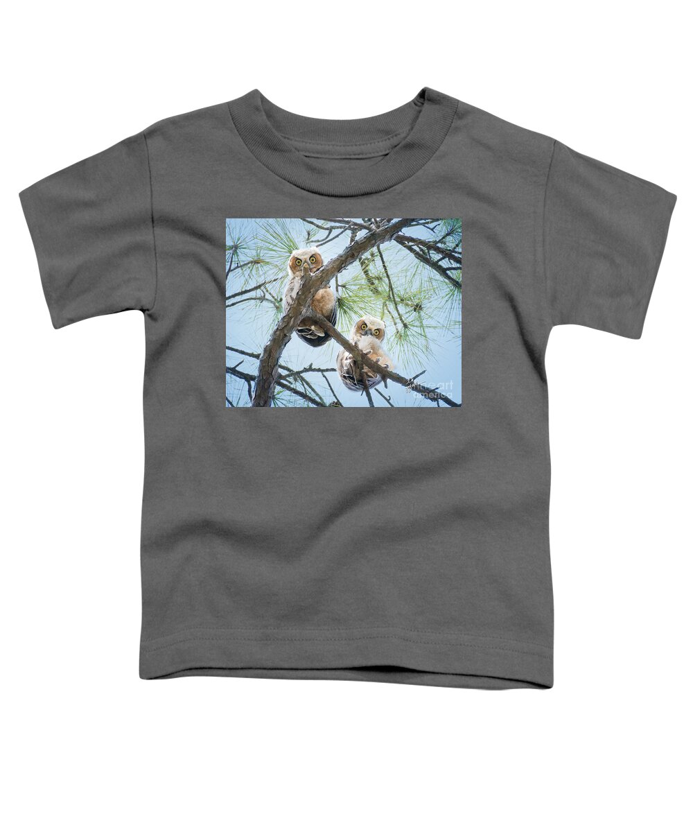 Great Horned Owls Toddler T-Shirt featuring the photograph Baby Great Horned Owls Peering Down by TK Goforth