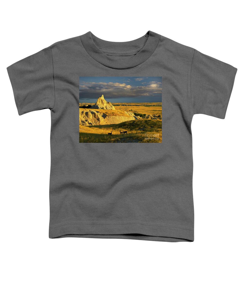 00175613 Toddler T-Shirt featuring the photograph Badlands Mule Deer by Tim Fitzharris