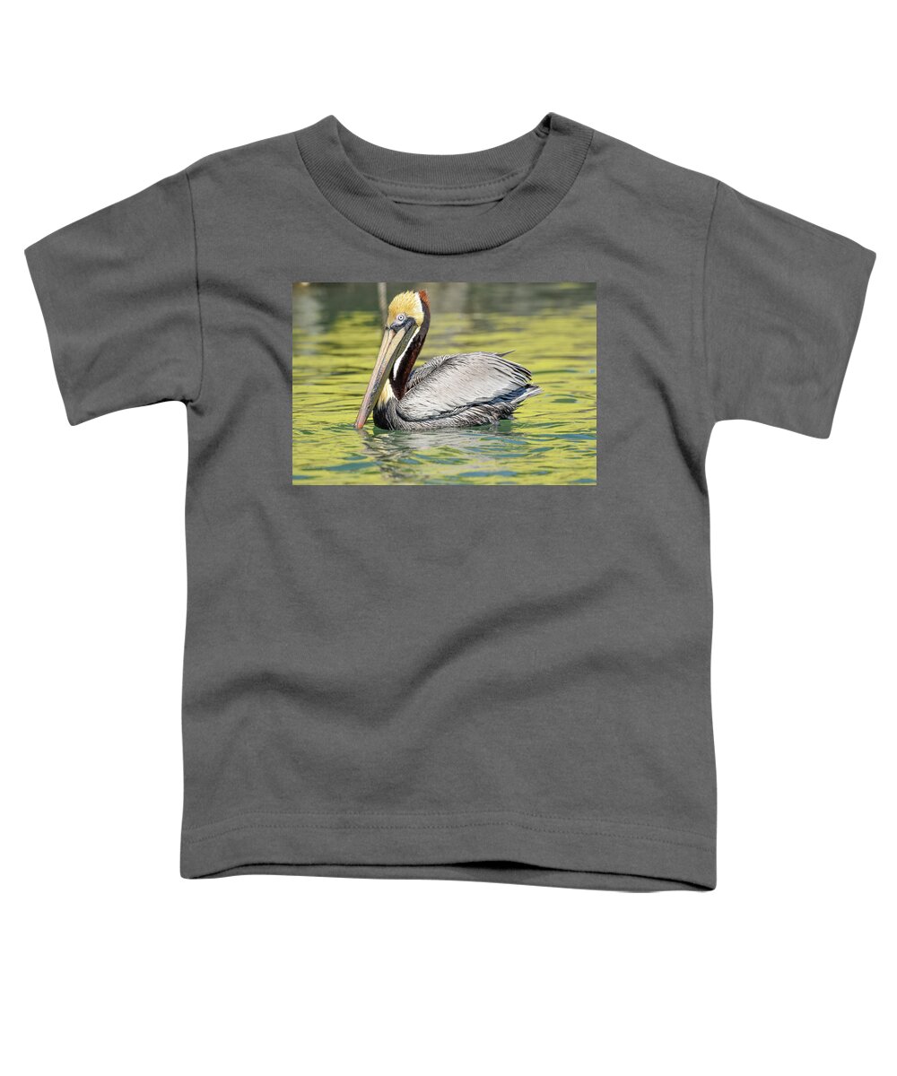Brown Pelican Toddler T-Shirt featuring the photograph Bait Stand Reflections by Christopher Rice