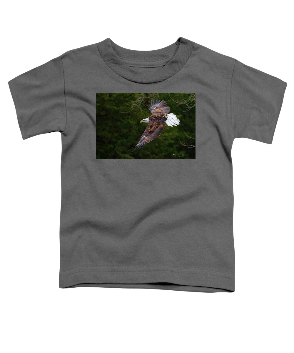 Nature Toddler T-Shirt featuring the photograph Bald Eagle in Flight by Linda Shannon Morgan