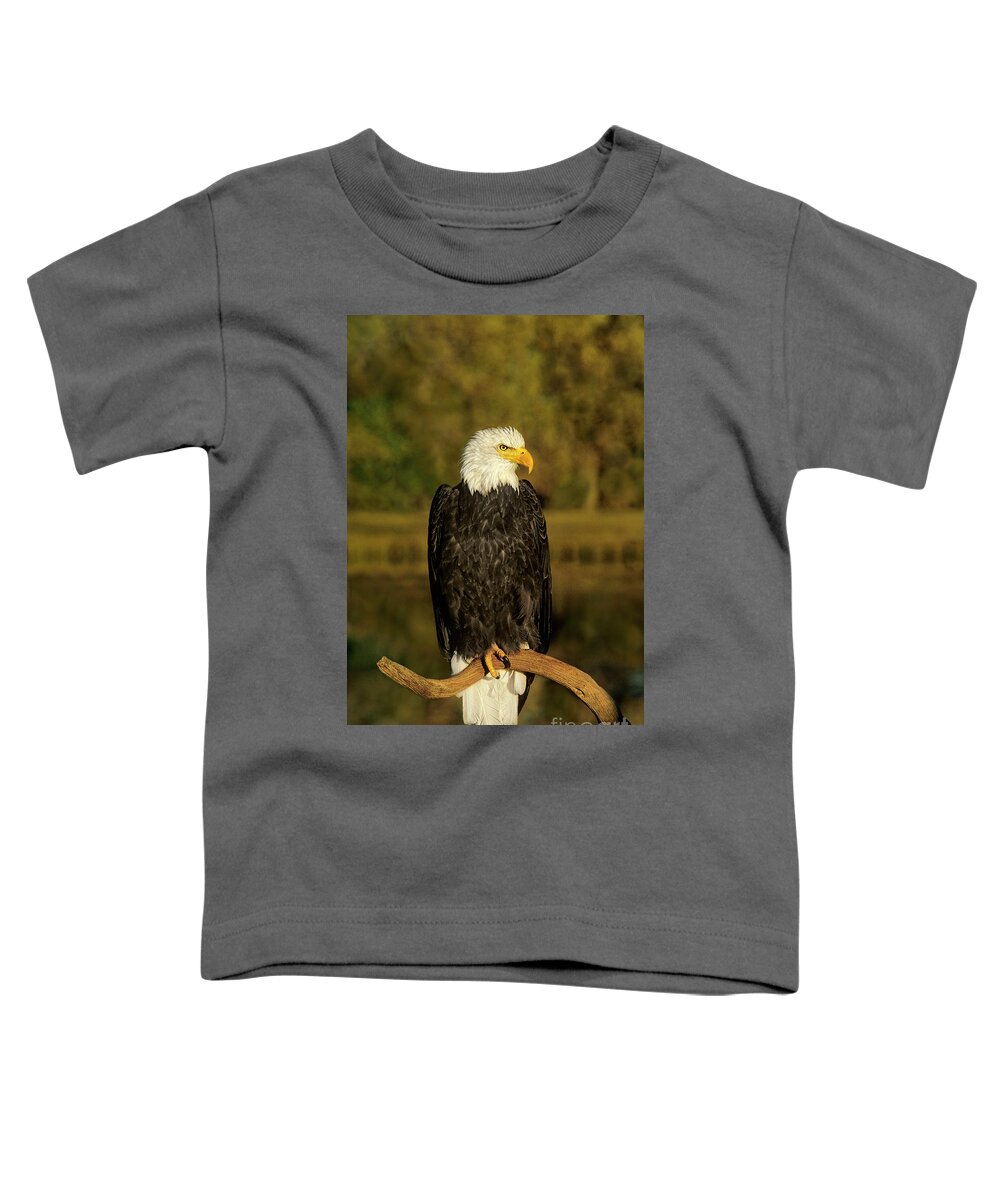 Dave Welling Toddler T-Shirt featuring the photograph Bald Eagle Perched On Snag by Dave Welling