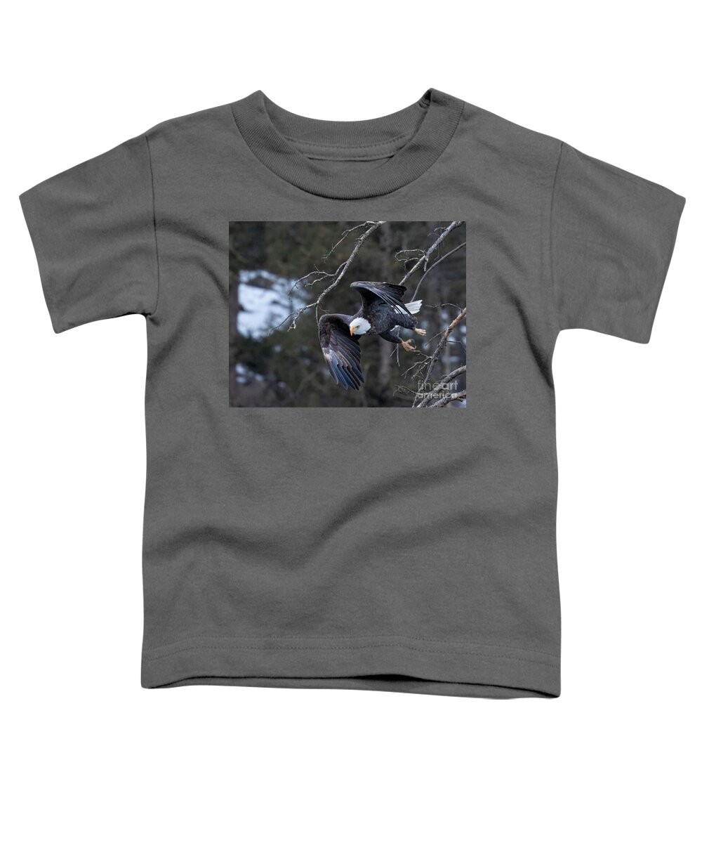Bald Eagle Toddler T-Shirt featuring the photograph Bald Eagles with Folded Wings by Steven Krull