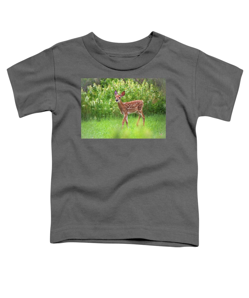Deer Toddler T-Shirt featuring the photograph Bambi by Pam Rendall