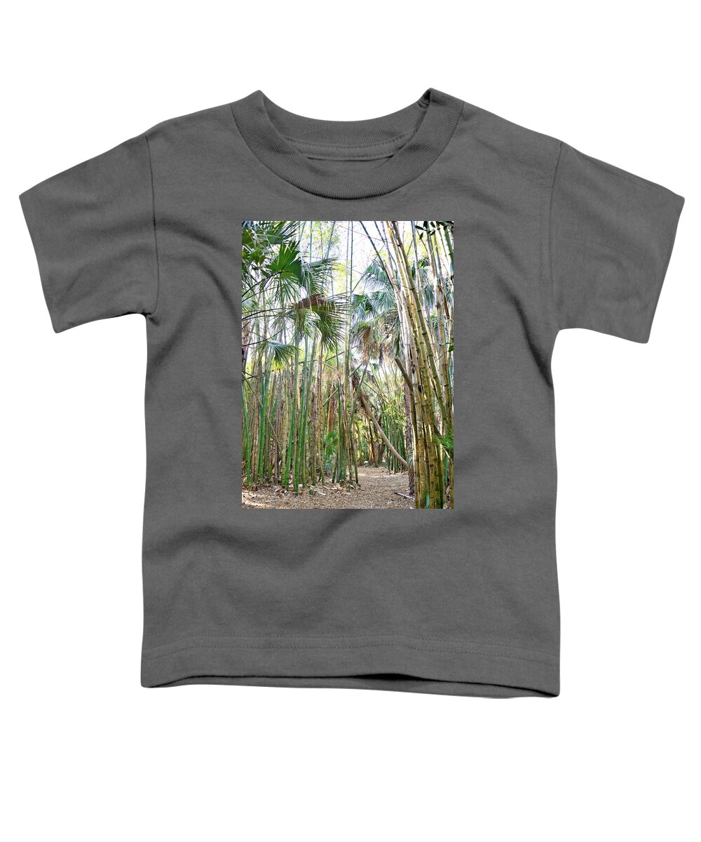 Bamboo Trees Toddler T-Shirt featuring the photograph Bamboo Forest by Alison Belsan Horton