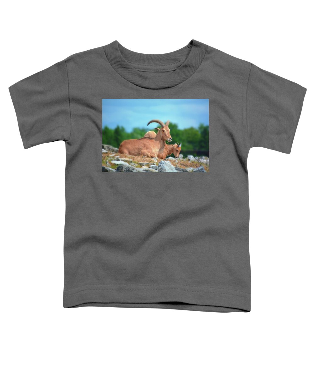 Animals Toddler T-Shirt featuring the photograph Barbary sheep by Norma A Lahens