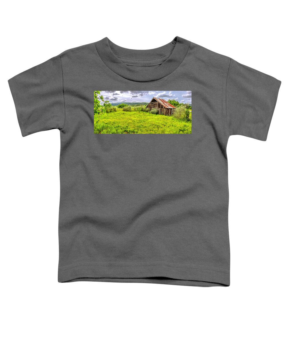 Barn Toddler T-Shirt featuring the photograph Barn on Click Gap Rd Panorama HDR by Greg Reed