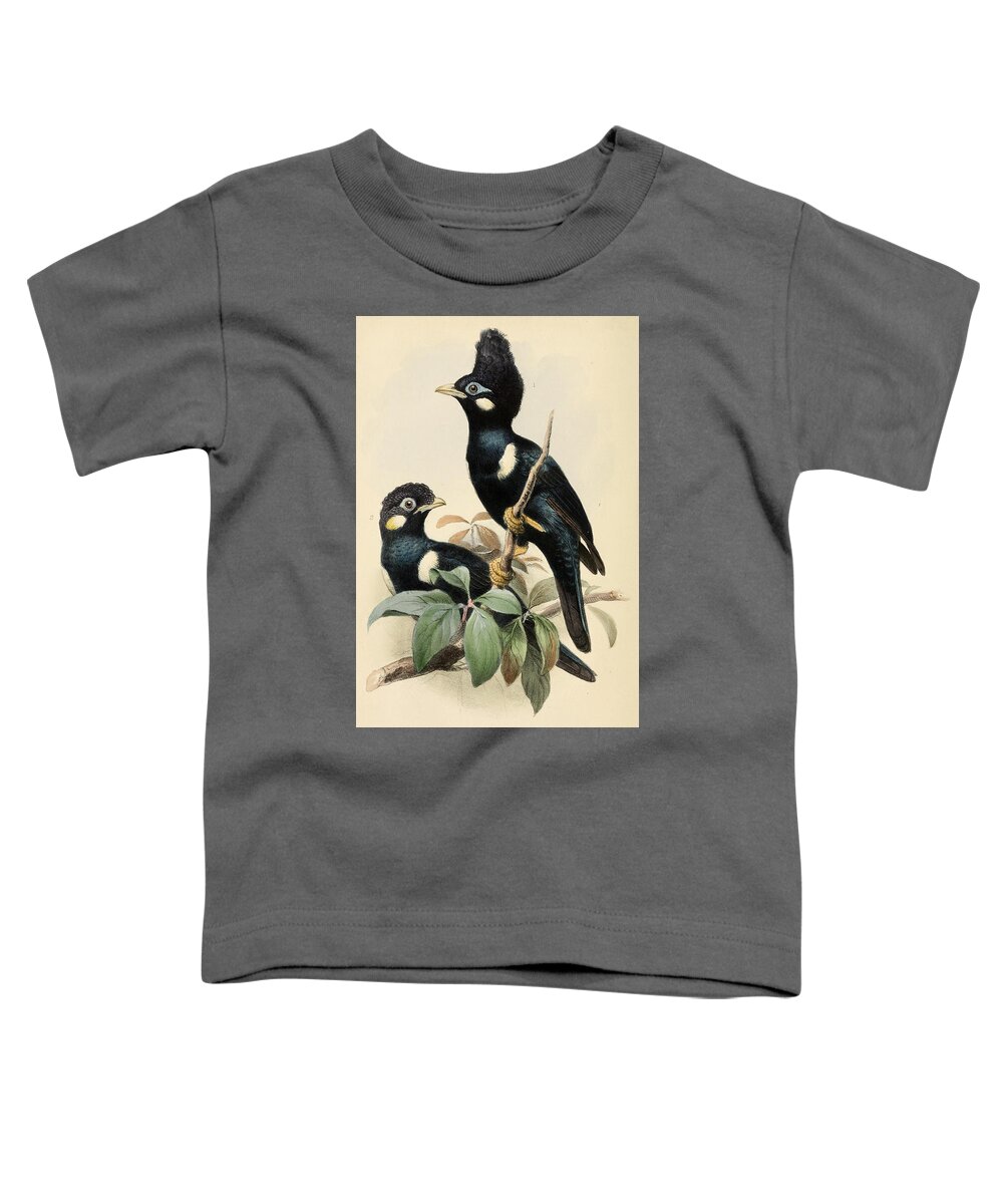 Joseph Wolf Toddler T-Shirt featuring the drawing Basilornis corythaix by Joseph Wolf