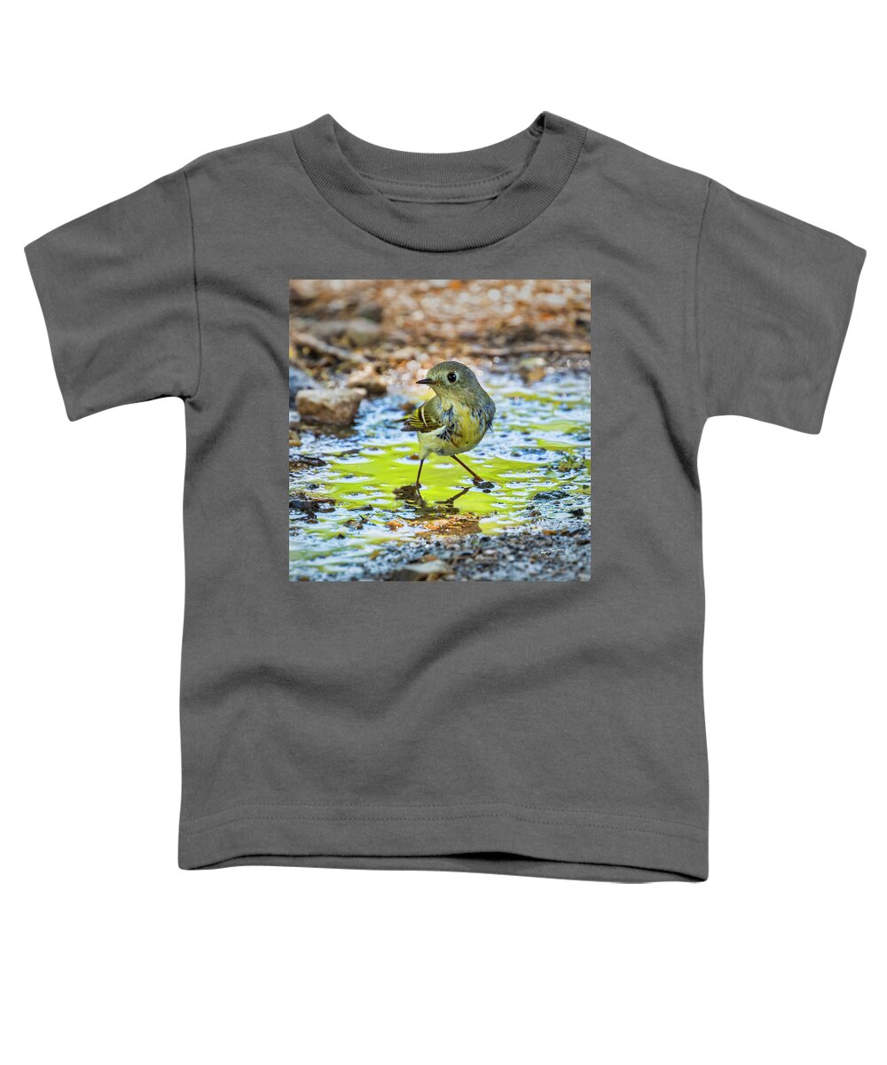 Ruby-crowned Kinglet Toddler T-Shirt featuring the photograph Bathing Kinglet by Jurgen Lorenzen