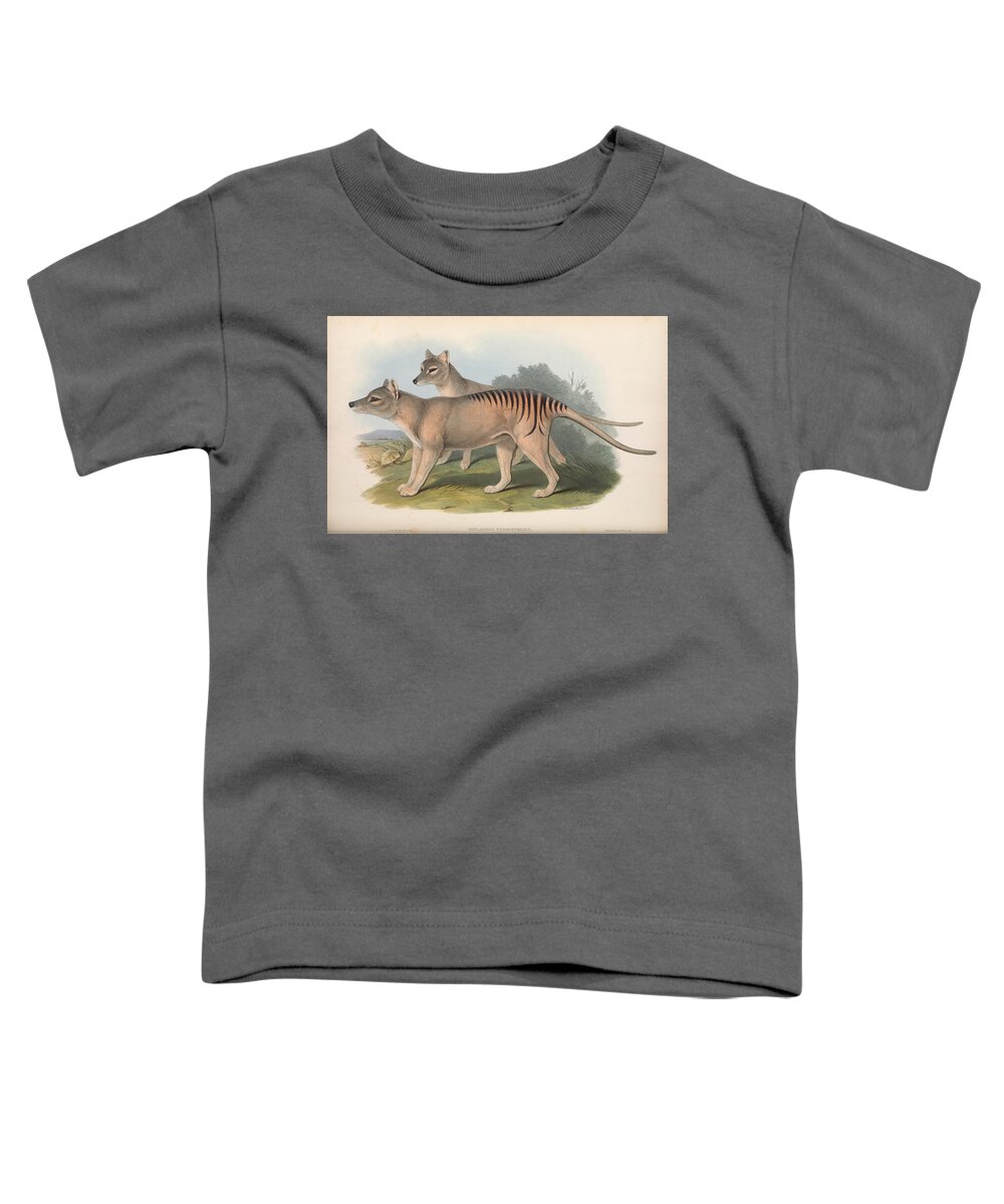 John Toddler T-Shirt featuring the mixed media Beautifil Antique Australian Tasmanian Tiger by World Art Collective
