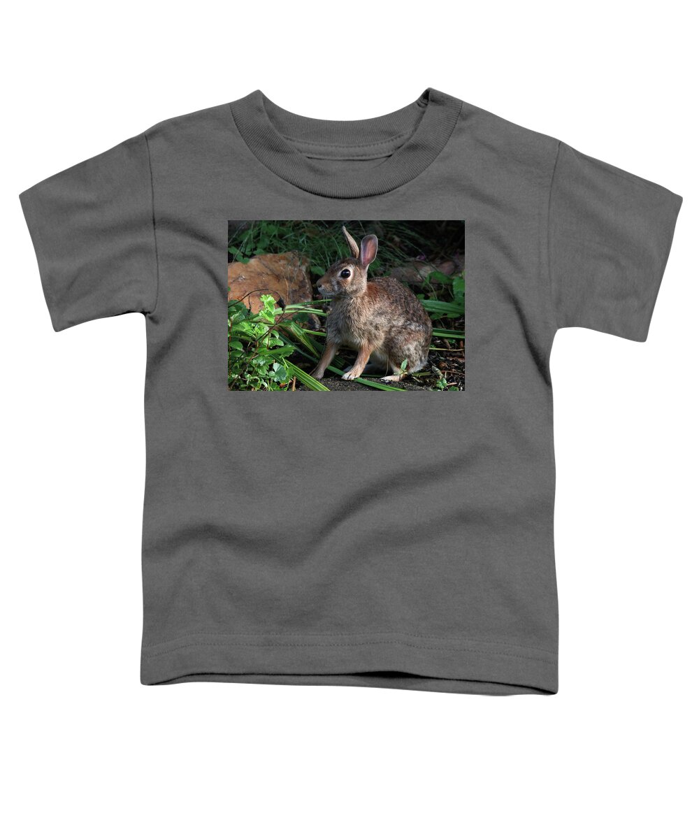 Wildlife Toddler T-Shirt featuring the photograph Beautiful Bunny Portrait by Trina Ansel