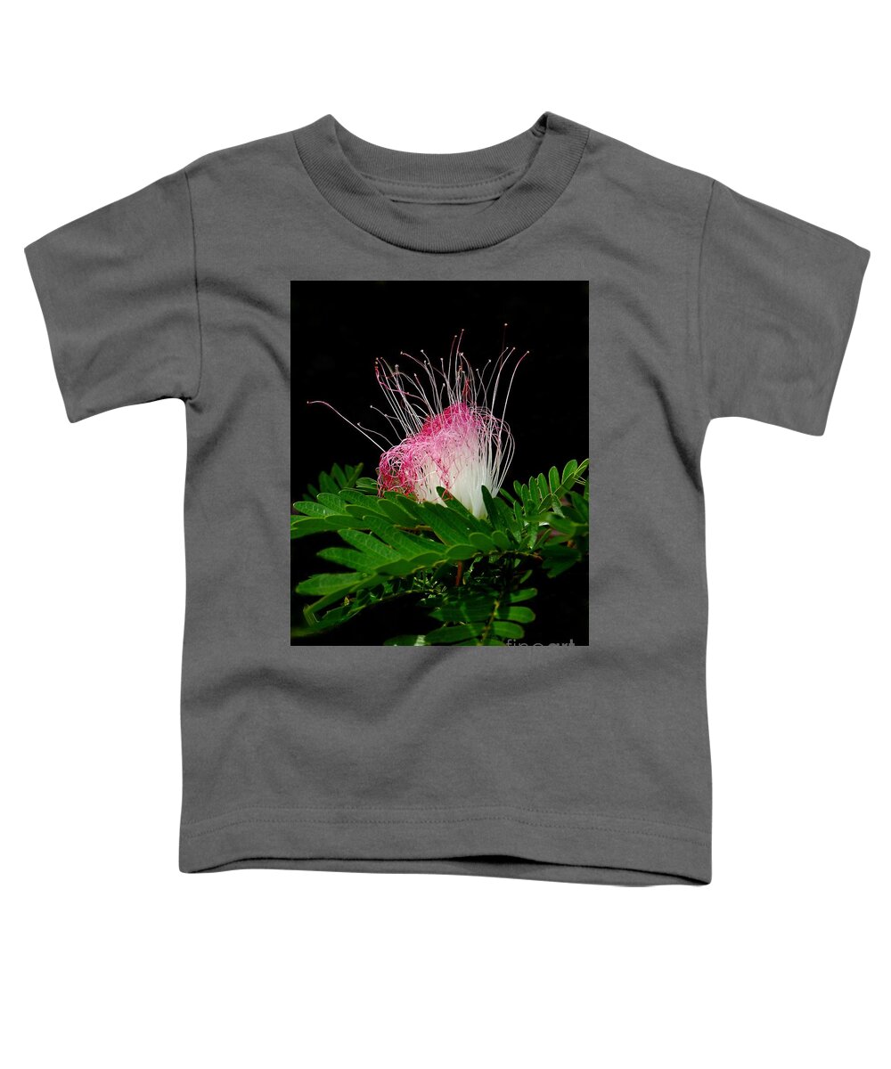Beautiful Mimosa Toddler T-Shirt featuring the photograph Beautiful Mimosa. by Trudee Hunter