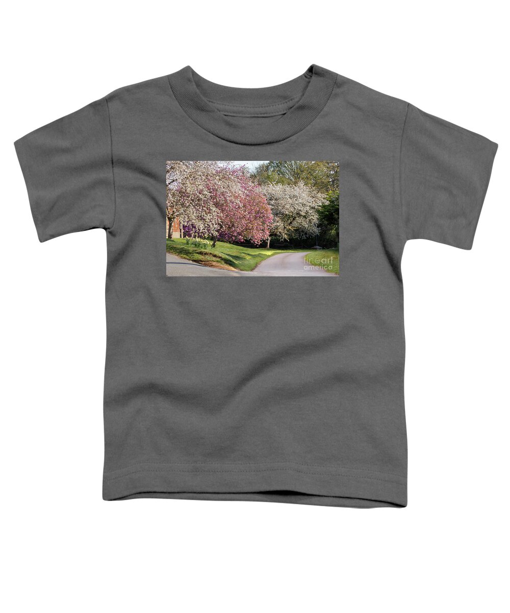 Blossom Toddler T-Shirt featuring the photograph Beautiful spring trees in pink and white blossom by Simon Bratt