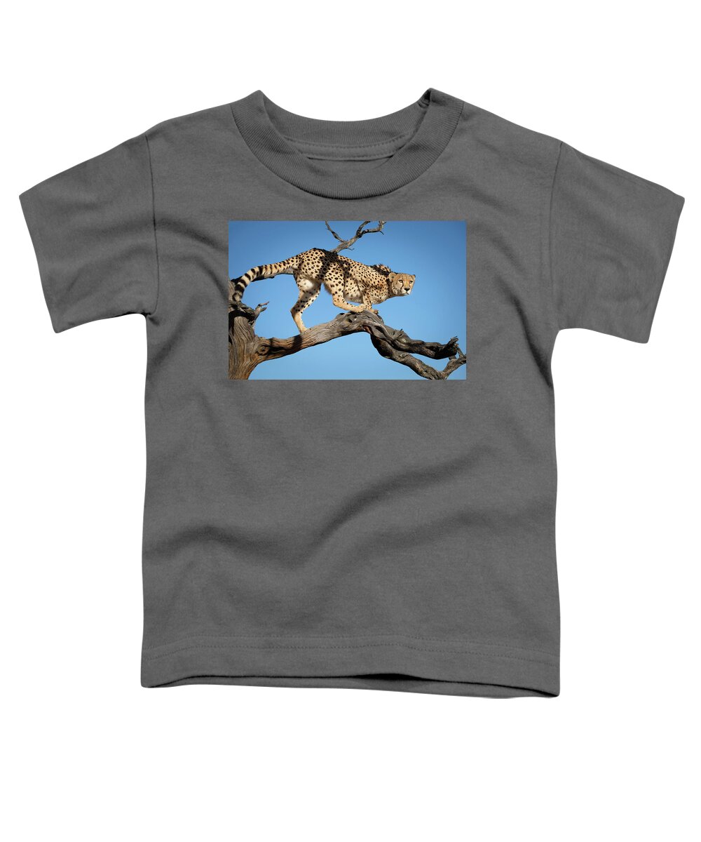 Beauty Toddler T-Shirt featuring the photograph Beauty, Awe and Amazing Grace in a Cheetah by Roberta Kayne