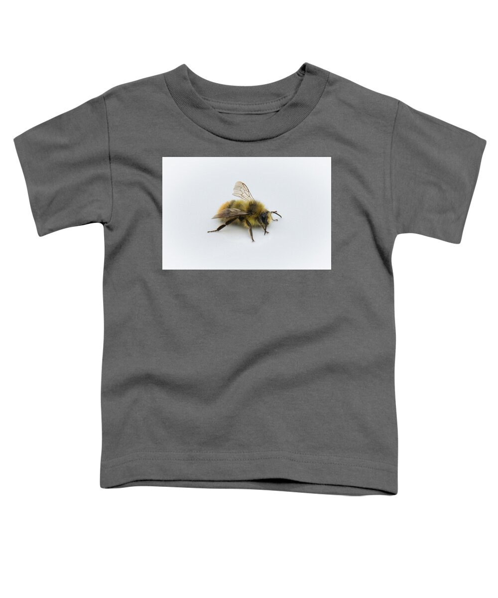 Bee Toddler T-Shirt featuring the photograph Bee utiful by Steph Gabler
