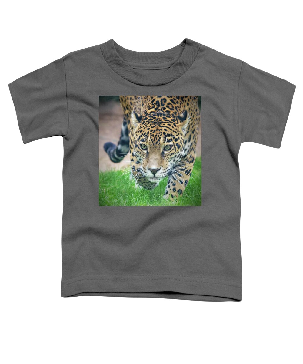 Felines Toddler T-Shirt featuring the photograph Bella by Elaine Malott