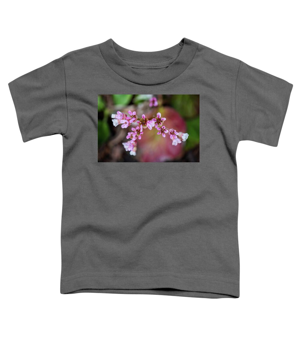 Bergenia Toddler T-Shirt featuring the photograph Bergenia Ciliata Flowers by Artur Bogacki