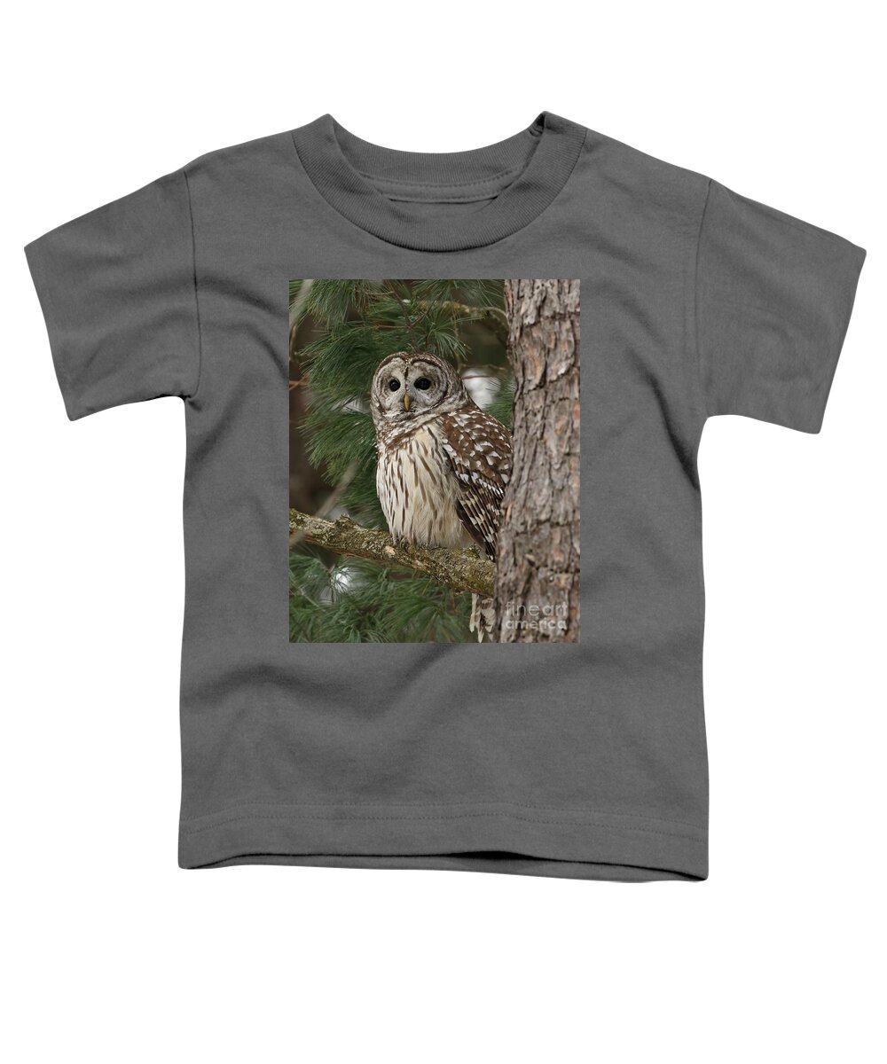 Owl Portrait Toddler T-Shirt featuring the photograph Big beautiful eyes by Heather King